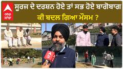 Punjab Weather| ਸੂਰਜ ਦੇ ਦਰਸ਼ਨ ਹੋਏ ਤਾਂ ਸਭ ਹੋਏ ਬਾਗੋਬਾਗ, ਕੀ ਬਦਲ ਗਿਆ ਮੌਸਮ ?