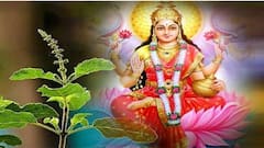 Morning Tips: ઘર-પરિવારમાં ઈચ્છતા હો ખુશહાલી તો સવારમાં કરી લો આ કામ, મળશે અપાર સફળતા