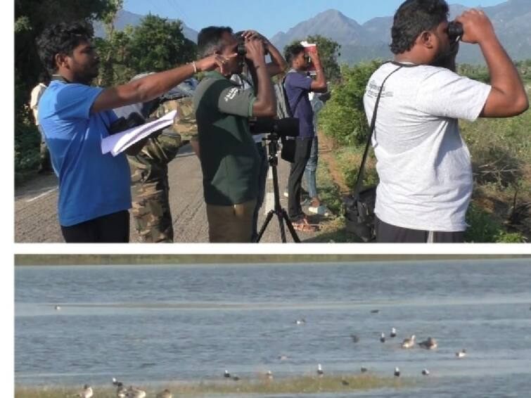 Tirunelveli news  two-day birds census in Nellai will begin today - TNN நெல்லையில் தொடங்கிய பறவைகள் கணக்கெடுக்கும் பணி..கண்ணில் தென்படுகிற பறவைகளை க்ளிக் செய்த வனத்துறை