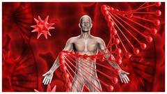 सर्दियों में हीमोग्लोबिन कम हो जाए तो तुरंत खाना शुरू करें ये फूड्स