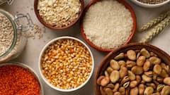 Kitchen Hacks: चावल-दाल में लग जाते हैं कीड़े और फफूंदी, तो ऐसे करें स्टोर