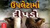 Rajkot News : રાજકોટ જિલ્લાના ઉપલેટાના તલગણા ગામમાં દીપડાની દહેશત