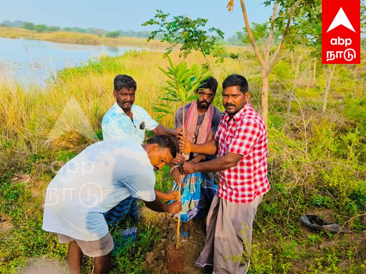 விழுப்புரம் இளைஞரின் பசுமை புரட்சி... 555 ஏக்கர் பரப்பளவு ஏரியை சுற்றி மருத்துவ குணங்கள் உள்ள மரங்கள்...!