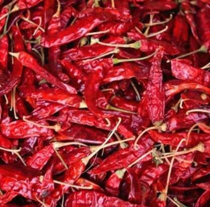 ਜੇਕਰ ਤੁਸੀਂ ਦਾਲਾਂ ਨੂੰ ਲੰਬੇ ਸਮੇਂ ਤੱਕ ਸਟੋਰ ਕਰਨਾ ਚਾਹੁੰਦੇ ਹੋ ਤਾਂ ਇਸ 'ਚ ਸੁੱਕੀ ਲਾਲ ਮਿਰਚਾਂ ਪਾ ਕੇ ਰੱਖੋ। ਅਜਿਹੇ 'ਚ ਦਾਲ ਕਦੇ ਖਰਾਬ ਨਹੀਂ ਹੋਵੇਗੀ।