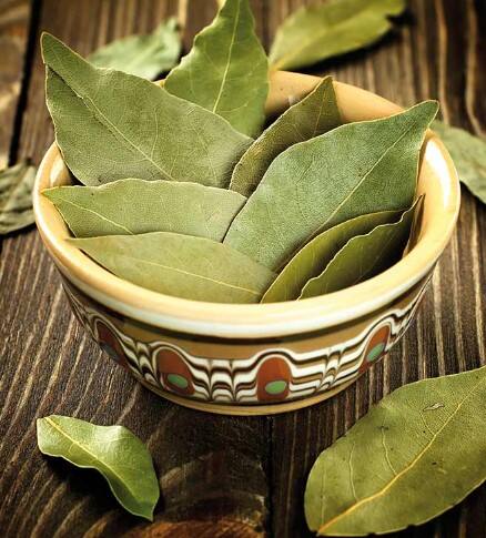 ਤੇਜ਼ ਪੱਤੇ ਖੁਸ਼ਬੂਦਾਰ ਹੁੰਦੇ ਹਨ, ਇਸ ਦੀ ਖੁਸ਼ਬੂ ਕਾਰਨ ਕੀੜੇ-ਮਕੌੜੇ ਭੱਜਣ ਲੱਗ ਪੈਂਦੇ ਹਨ। ਆਪਣੇ ਅਨਾਜ ਦੇ ਡੱਬੇ ਵਿੱਚ ਤੇਜ਼ ਪੱਤੇ ਰੱਖੋ ਅਤੇ ਕੀੜੇ ਕਦੇ ਵੀ ਹਮਲਾ ਨਹੀਂ ਕਰਨਗੇ।