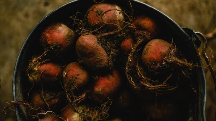 Beetroot benefits :  आज आम्ही तुम्हाला बीटपासून बनवलेल्या एका नवीन पदार्थ बद्दल सांगणार आहोत.  चला जाणून घेऊया बीट रायता कसा बनवायचा आणि त्याचे फायदे?