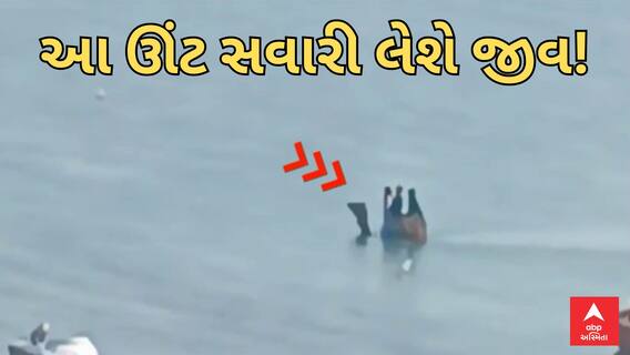 Dwarka Camel Ride | દ્વારકામાં જોખમી ગોમતી નદીની અંદર ઊંટની સવારી, ક્યારેક લેશે જીવ!