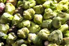 पूरग्रस्त भागात वॉटर चेस्टनटचा प्रयोग, 6 ते 7 महिन्यात लाखोंचा नफा