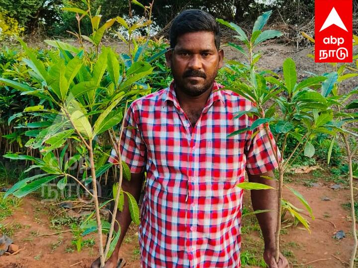 Villupuram Youth's Green Revolution 555 Acres Lake Surrounded by Medicinal Trees - TNN விழுப்புரம் இளைஞரின் பசுமை புரட்சி... 555 ஏக்கர் பரப்பளவு ஏரியை சுற்றி மருத்துவ குணங்கள் உள்ள மரங்கள்...!