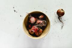 Beetroot benefits : बीट पासून बनवला जाणारा ' हा ' पदार्थ तुम्हाला आवडेल...!