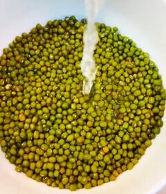 Sprouted Green Gram Dosa : சத்துகள் நிறைந்த ஆந்திரா ஸ்டைல் முளைகட்டிய பச்சைப்பயிறு தோசை..இன்றே செய்யுங்க!