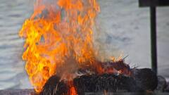 भाई को खोने के दो साल बाद भी गम से उबर नहीं पाई दिल्ली की युवती, करती हैं लावारिस शवों का अंतिम संस्कार, जानें क्यों?