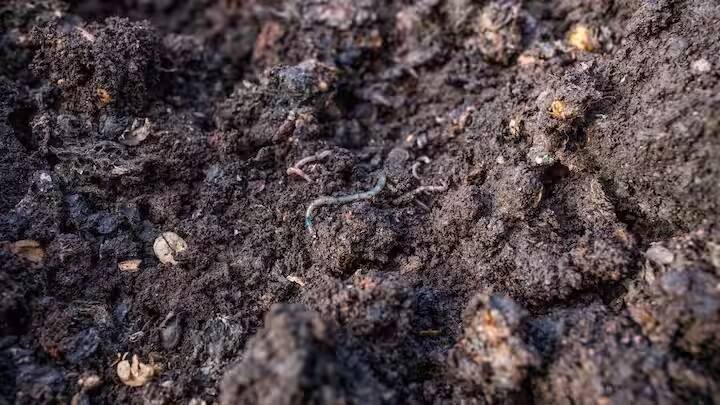 કેન્દ્ર અને રાજ્ય સરકારો આ કાર્ય માટે વ્યાજબી દરે લોન, સબસિડી અને નાણાકીય અનુદાન આપે છે.