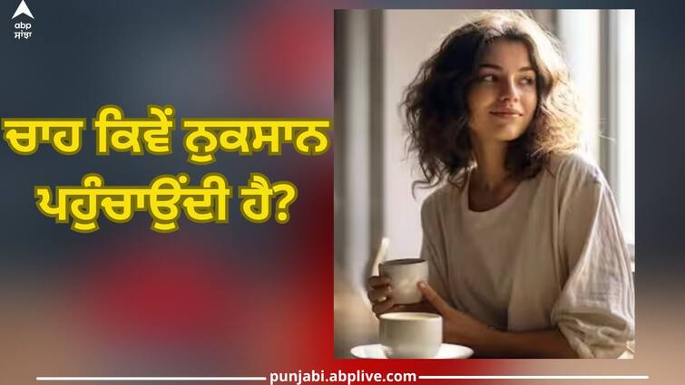 People become black by drinking tea? Know the facts and benefits from experts Tea: ਚਾਹ ਪੀਣ ਨਾਲ ਲੋਕ ਕਾਲੇ ਹੋ ਜਾਂਦੇ? ਮਾਹਿਰ ਤੋਂ ਅਸਲੀਅਤ ਦੇ ਨਾਲ ਜਾਣੋ ਫਾਇਦੇ-ਨੁਕਸਾਨ