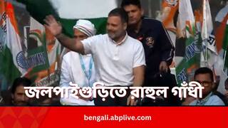 Rahul Gandhi:ভারত জোড়ো ন্যায় যাত্রায় জলপাইগুড়িতে রাহুল, কলকাতায় মিছিল তৃণমূলের