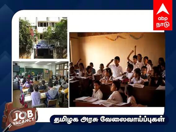 Chennai Port Trust School: அக்கவுண்ட் வேலை; நாளை நேர்காணல்; எங்கே நடைபெறுகிறது - விவரம்! Chennai Port Trust School: அக்கவுண்ட் வேலை; நாளை நேர்காணல்; எங்கே நடைபெறுகிறது - விவரம்!