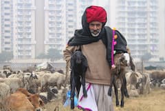 Rajasthan Weather: राजस्थान में एक बार फिर बदलेगा मौसम, इन जिलों में बारिश के आसार