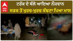 Punjab News। ਹੁਸ਼ਿਆਰਪੁਰ ਦੇ ਤਲਵਾੜਾ 'ਚ ਵਾਪਰਿਆ ਦਰਦਨਾਕ ਹਾਦਸਾ, ਪ੍ਰਵਾਸੀ ਦੀ ਮੌਤ