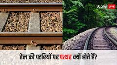ट्रेन की पटरियों के बीच में टूटे से ही पत्थर क्यों होते हैं... क्या है इसके पीछे की वजह?
