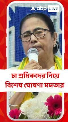 চা শ্রমিকদের নিয়ে বিশেষ ঘোষণা মমতার