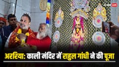 Bihar: बिहार के अररिया पहुंची कांग्रेस की न्याय यात्रा, राहुल गांधी ने काली मंदिर में की पूजा-अर्चना