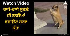 Viral Video: ਰਾਧੇ-ਰਾਧੇ ਸੁਣਦੇ ਹੀ ਤਾੜੀਆਂ ਵਜਾਉਣ ਲਗਾ ਕੁੱਤਾ, ਭਗਤੀ 'ਚ ਡੁੱਬੇ ਕੁੱਤੇ ਦੀ ਵੀਡੀਓ ਹੋਈ ਵਾਇਰਲ