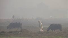 पंजाब-हरियाणा में धूप की दस्तक से सर्दी से थोड़ी राहत, अब होगी झमाझम बारिश, 2 दिन येलो अलर्ट