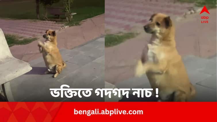 Dog Dancing on Radhe Radhe Video Went Viral Viral Video: ভক্তিতে গদগদ নাচ কুকুরের ! ভাইরাল ভিডিয়ো দেখে মাত নেটিজেনরা