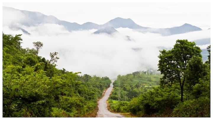 आप भी प्राकृतिक सौंदर्य के प्रेमी हैं और केरल घूमने की प्लान बना रहे हैं, तो यहां की कुछ ऐसी ही 5 खूबसूरत जगहें हैं जिन्हें घूमना आपके लिए एक अलग ही अनुभव कराएगा.आइए जानते हैं यहां