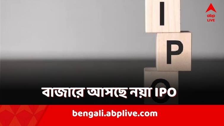 BLS e services ipo opens on 30 January shareholders get discount price know the lot size open date closing date GMP BLS e Services IPO: আসছে নয়া IPO! সবচেয়ে কম কত টাকায় বিনিয়োগ?