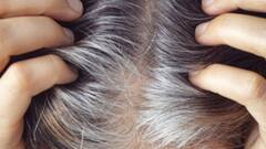 Myth vs Fact: सफेद बाल तोड़ने से काले बाल भी होने लगते हैं सफेद?