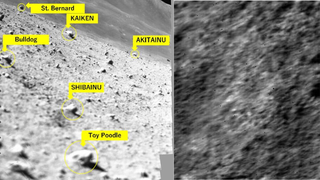 JAXA Restores Communication With SLIM Moon Lander, Shares Spacecraft’s First Images Of Lunar Rocks. SEE PICS JAXA Restores Communication With SLIM Moon Lander Shares Spacecraft First Images Of Lunar Rocks SEE PICS ABPP JAXA Restores Communication With SLIM Moon Lander, Shares Spacecraft’s First Images Of Lunar Rocks. SEE PICS