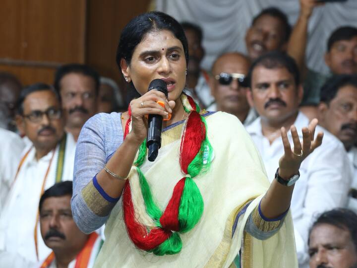 Ap pcc Chief Sharmila Reddy will Attend Congress Party Meeting In Kadapa she may meet with ys viveka daughter Sunitha Kadapa News: దూకుడు పెంచిన ఏపీసీసీ చీఫ్ షర్మిలా రెడ్డి, నేడు వివేక కుమార్తె సునీతతో సమావేశం!