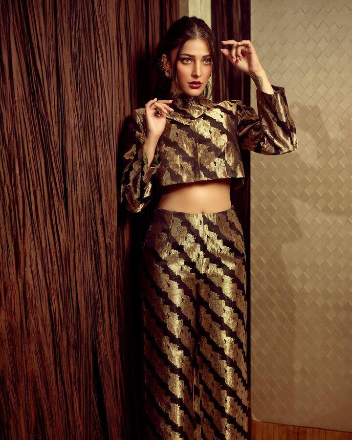 नुकताच श्रुतीने तिचा एक खास लूक शेअर केला आहे. (pc:shrutzhaasan/iig)