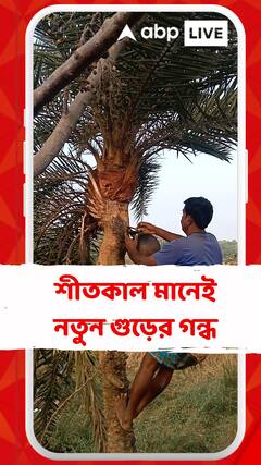 শীতকাল মানেই নতুন গুড়ের গন্ধ, খেজুরের রস ফুটিয়ে তৈরি হয় নলেন গুড়