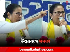 'বিজেপি করলে সাদা, তৃণমূল করলে কাদা', কী করার কথা বললেন মমতা ?