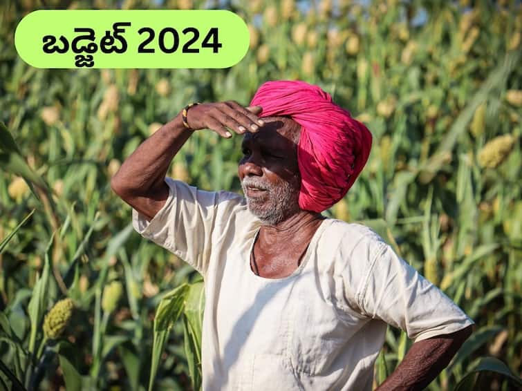 Budget 2024 Expectations Will Government Hike PM Kisan Payout In Interim Budget 2024 Budget 2024: రైతులకు రూ.9 వేలు పీఎం కిసాన్‌ డబ్బు, బడ్జెట్‌లో ప్రకటించే ఛాన్స్‌!