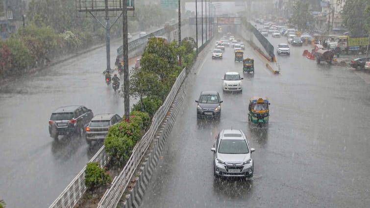 Weather Update Today 29 January up IMD Forecast cold day lucknow, noida, meerut Ka Mausam UP Weather Today: यूपी में बारिश का अलर्ट, शीतलहर और ठंड का कहर जारी, IMD ने दी चेतावनी, जानें मौसम का हाल