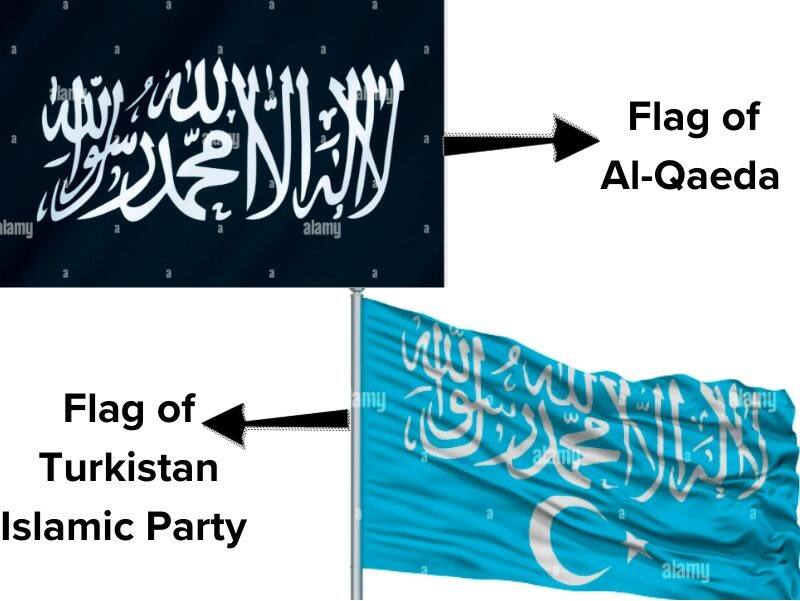 हमास बच्चों को दे रहा ट्रेनिंग? जानें क्या है इस वायरल दावे की सच्चाई