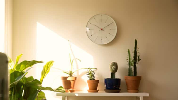 vastu shastra vastu tips for wall clock where should wall clock be placed to avoid negativity Vastu Tips: Know Where To Place Wall Clock To Reap Benefits