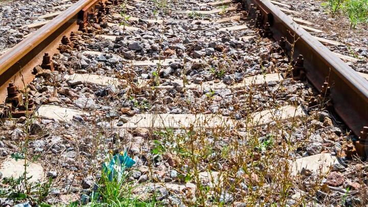 यह पत्थर इसलिए भी जरूरी होते हैं. इनके होने से ट्रैक के आसपास घास फूस नहीं उगती. अगर ट्रैक पर घास या कोई और पौधा आ जाए. तो इससे बड़ा हादसा हो सकता है.