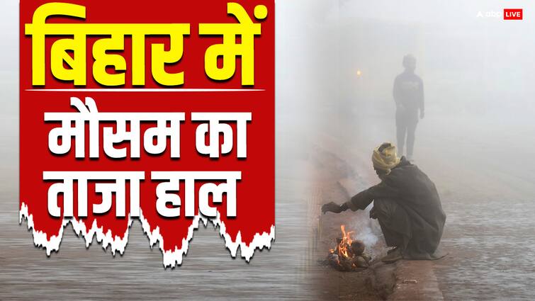 Bihar Weather Update 12 February 2024 Prediction of Rain Patna IMD Latest Report ANN Bihar Weather Update: बिहार में करवट लेने वाला है मौसम, कई जिलों में हो सकती है बारिश, IMD की रिपोर्ट देखें