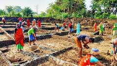 छत्तीसगढ़: बस्तर की ग्रामीण महिलाओं को बजट से खास उम्मीदें, बोलीं- 'सिलेंडर और राशन के दाम कम हुए तो...'