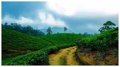 Travel : કુદરતી સૌંદર્યના ચાહક છો, તો કેરળના આ 5 ટૂરિસ્ટ પ્લેસની અચૂક મુલાકાત લેજો, અલૌકિક અનુભૂતિ બની જશે યાદગાર