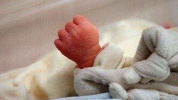 শীতের এবার কোনও ঠিকঠিকানা নেই। তাপমাত্রার ওঠাপড়া চলছে অবিরাম। কখনও এক ধাক্কায় পারদ নামছে, কখনও আবার এমন আবহাওয়া, গরম কালকেও হার মানায় ।