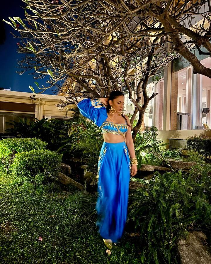 ఈ ఫోటోలను ఇన్​స్టాలో షేర్ చేసి.. This is what my blues look like 😜💙 అంటూ క్యాప్షన్ ఇచ్చింది. ఈ ఫోటోలకు ఓ అభిమాని దేశీ జాస్మిన్​లా ఉన్నావంటూ కితాబిచ్చాడు. (Images Source : Instagram/rakulpreet)
