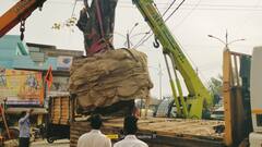 Photos: इंदौरवासियों ट्रैफिक जाम से मिलेगी निजात, बाणगंगा ब्रिज के पास हुआ 50 साल पुराने पेड़ का ट्रांसप्लांट, सामने आई तस्वीरें