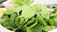 Spinach During Pregnancy : गरोदर महिलांसाठी पालक ठरू शकते घातक ? जाणून घ्या ...