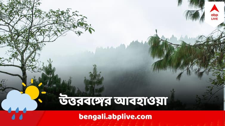 North Bengal Weather Hailstorm Predicted In Darjeeling Kalimpong Rain Predicted in North Bengal Districts North Bengal Weather : দার্জিলিং-কালিম্পংয়ে শিলাবৃষ্টির সম্ভাবনা, হাড় কাঁপানো ঠান্ডা উত্তরবঙ্গে