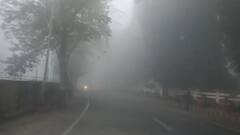 In Pic: वाराणसी में मौसम ने ली करवट, ठंड से मिली राहत, कोहरे ने रोकी रफ्तार, देखें तस्वीरें